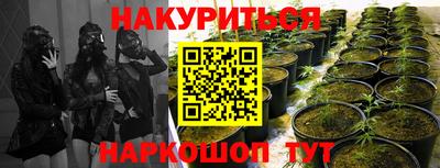 ПСИЛОЦИБИНОВЫЕ ГРИБЫ Будённовск