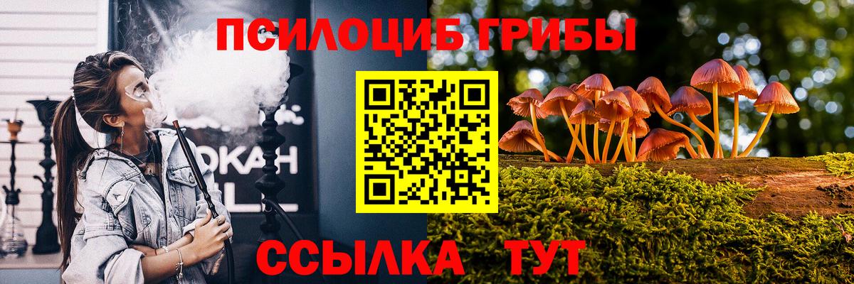 наркота  Вход с VPN  Лиски  Псилоцибиновые грибы Cubensis 